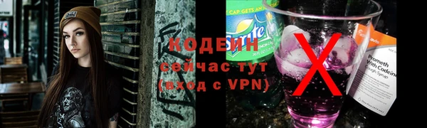 индика Россошь