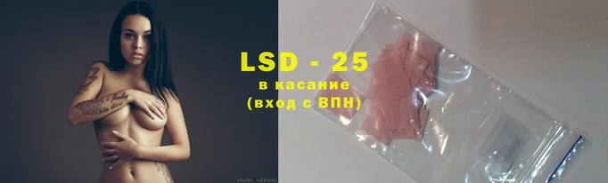 гидропоника Алзамай