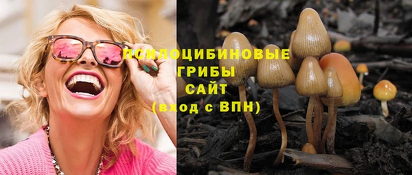гидропоника Алзамай
