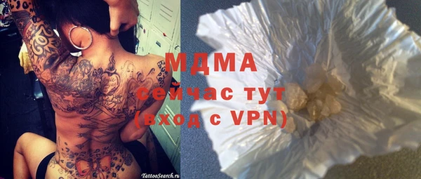 прущие грибы Саяногорск