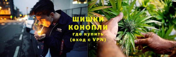 гидропоника Алзамай
