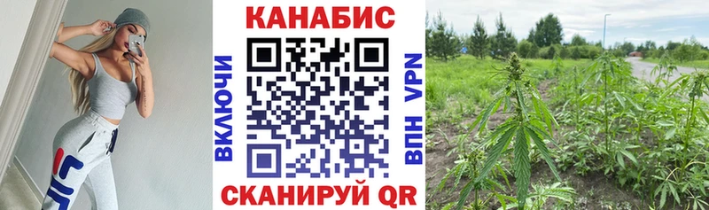 купить наркотики сайты  сайты даркнета Telegram  Бошки Шишки MAZAR  Лермонтов 